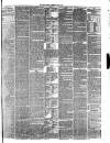 Preston Herald Wednesday 24 June 1874 Page 3