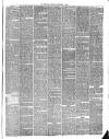 Preston Herald Saturday 06 February 1875 Page 3