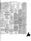 Preston Herald Wednesday 14 April 1875 Page 7