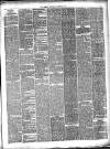 Preston Herald Saturday 24 March 1877 Page 3
