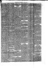 Preston Herald Wednesday 08 August 1877 Page 5