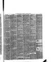 Preston Herald Saturday 13 January 1883 Page 11