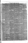 Preston Herald Wednesday 04 April 1883 Page 3