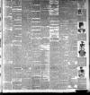 Preston Herald Saturday 21 April 1894 Page 7