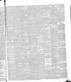 Norwich Mercury Saturday 20 December 1851 Page 3