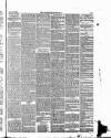 Norwich Mercury Saturday 22 April 1865 Page 5