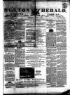 Buxton Herald Saturday 15 June 1850 Page 1