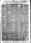Waterford Standard Saturday 30 January 1869 Page 3