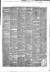 Waterford Standard Saturday 22 May 1869 Page 3