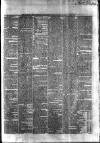 Waterford Standard Saturday 26 June 1869 Page 3