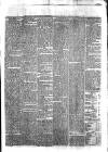 Waterford Standard Wednesday 11 August 1869 Page 3