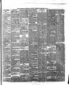 Waterford Standard Saturday 20 February 1875 Page 3