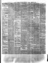 Waterford Standard Saturday 10 April 1875 Page 3