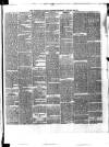 Waterford Standard Saturday 05 January 1878 Page 3