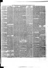 Waterford Standard Saturday 09 February 1878 Page 3