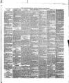 Waterford Standard Saturday 03 April 1880 Page 3