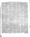 Waterford Standard Saturday 03 July 1880 Page 3