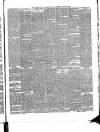 Waterford Standard Saturday 19 January 1889 Page 3