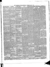 Waterford Standard Wednesday 06 March 1889 Page 3