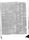 Waterford Standard Saturday 29 June 1889 Page 3