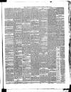 Waterford Standard Wednesday 23 March 1892 Page 3