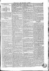 Naval & Military Gazette and Weekly Chronicle of the United Service Saturday 13 July 1833 Page 3