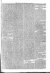 Naval & Military Gazette and Weekly Chronicle of the United Service Saturday 17 August 1833 Page 3