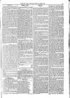 Naval & Military Gazette and Weekly Chronicle of the United Service Saturday 19 October 1833 Page 5