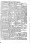 Naval & Military Gazette and Weekly Chronicle of the United Service Saturday 16 November 1833 Page 3