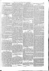 Naval & Military Gazette and Weekly Chronicle of the United Service Saturday 16 November 1833 Page 5