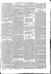 Naval & Military Gazette and Weekly Chronicle of the United Service Saturday 23 November 1833 Page 7