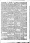 Naval & Military Gazette and Weekly Chronicle of the United Service Saturday 28 December 1833 Page 7