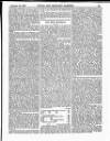 Naval & Military Gazette and Weekly Chronicle of the United Service Saturday 12 January 1861 Page 7