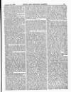 Naval & Military Gazette and Weekly Chronicle of the United Service Saturday 26 January 1861 Page 3