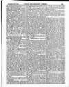 Naval & Military Gazette and Weekly Chronicle of the United Service Saturday 28 December 1861 Page 5