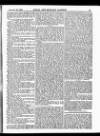 Naval & Military Gazette and Weekly Chronicle of the United Service Saturday 28 January 1865 Page 7