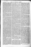 Naval & Military Gazette and Weekly Chronicle of the United Service Saturday 02 January 1869 Page 7