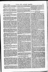 Naval & Military Gazette and Weekly Chronicle of the United Service Saturday 11 February 1871 Page 3