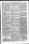 Naval & Military Gazette and Weekly Chronicle of the United Service Saturday 11 February 1871 Page 5