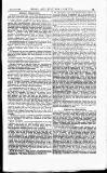 Naval & Military Gazette and Weekly Chronicle of the United Service Wednesday 26 January 1876 Page 17