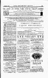 Naval & Military Gazette and Weekly Chronicle of the United Service Wednesday 01 November 1876 Page 22