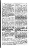 Naval & Military Gazette and Weekly Chronicle of the United Service Wednesday 05 February 1879 Page 15