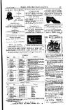 Naval & Military Gazette and Weekly Chronicle of the United Service Wednesday 17 December 1879 Page 23