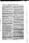 Naval & Military Gazette and Weekly Chronicle of the United Service Wednesday 28 January 1880 Page 5