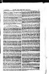 Naval & Military Gazette and Weekly Chronicle of the United Service Wednesday 28 January 1880 Page 17