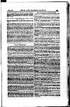 Naval & Military Gazette and Weekly Chronicle of the United Service Wednesday 19 May 1880 Page 5