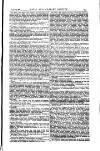 Naval & Military Gazette and Weekly Chronicle of the United Service Wednesday 25 August 1880 Page 17