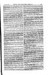 Naval & Military Gazette and Weekly Chronicle of the United Service Wednesday 21 February 1883 Page 19