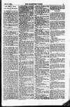 Sporting Times Saturday 08 February 1879 Page 3