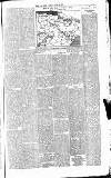 Irish Times Monday 30 March 1874 Page 5